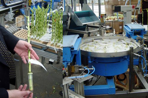 Hangende aanvoer bloembuisjes - Oplossing van Stiletto Triltechniek